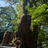画像508