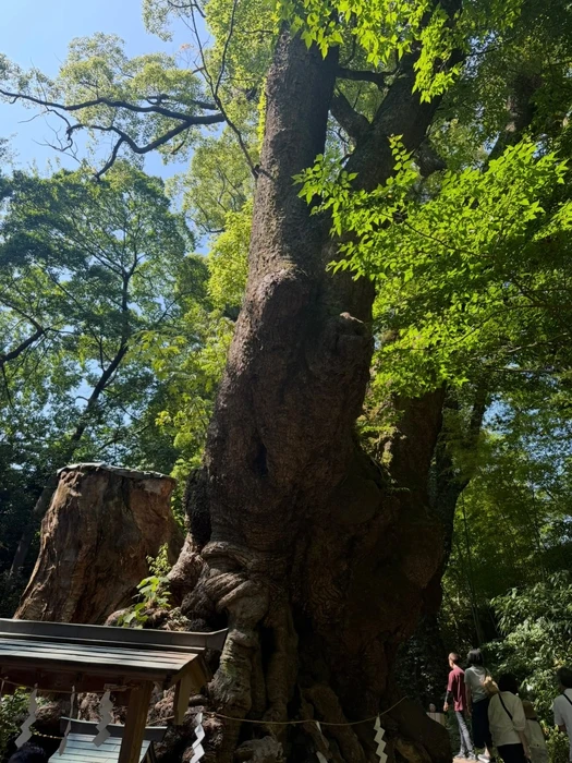 画像508
