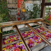 画像515